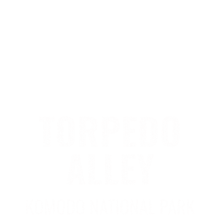 Scubadiving Sticker by Dragon Dive Komodo