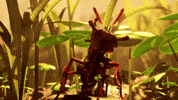 Obsidian Entertainment Loop GIF by Xbox