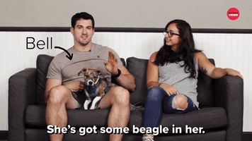 She's Got Some Beagle