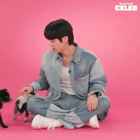 K Pop Puppy GIF by BuzzFeed