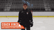 TheRinks youtube hockey ice hockey ducks GIF