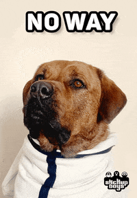 No Way Dog GIF by Stick Up Music
