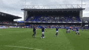 Ipswich Town Celebration GIF by Ipswich Town Football Club
