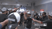 stl GIF by MLB