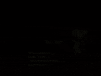 charlie brown GIF by Peanuts