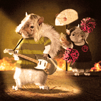 Back To School Lol GIF by chris timmons