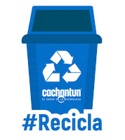 CachantunCL eco naturaleza recicla agua mineral Sticker