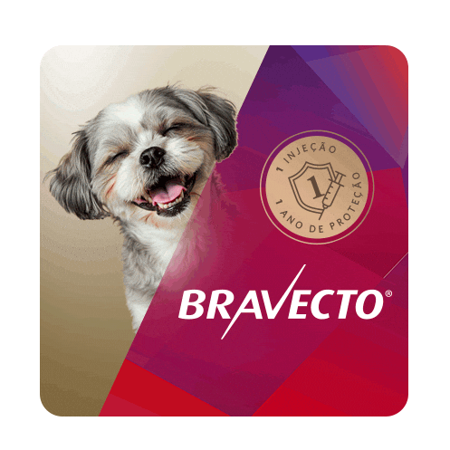 Bravecto Pulgas Sticker by MSD Família Pet