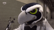 Amazon Football GIF by NFL On Prime Video
