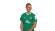Sticker Werderfrauen Sticker by SV Werder Bremen