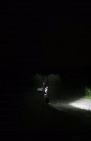 michalsadowski giphyupload GIF