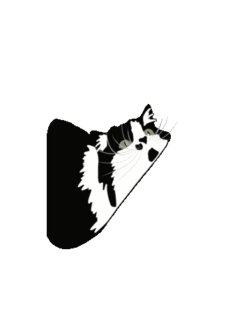 yulegrs giphyupload cat кошка мило Sticker