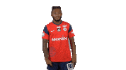 Goal Chateauroux Sticker by La Berrichonne de Châteauroux