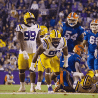 Happy College Football GIF by LSU Tigers