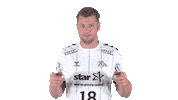 Swipe Up Handball-Bundesliga Sticker by LIQUI MOLY HBL