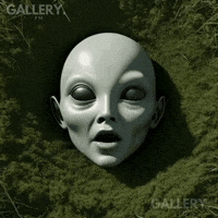 Art Fun GIF by Gallery.fm