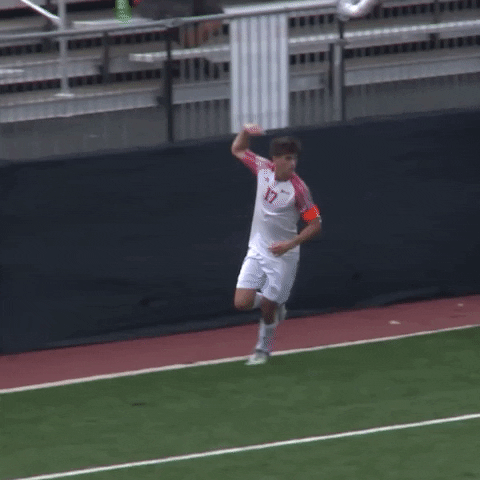 Excited Mens Soccer GIF by Horizon League