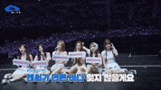 Taiwan Bae GIF