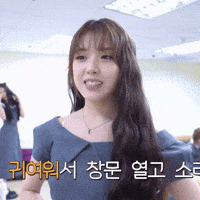 Taiwan Taipei GIF