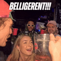 BelligerentBermuda party bermuda belligerent belligerent bermuda GIF
