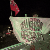 BelligerentBermuda party bermuda belligerent belligerent bermuda GIF