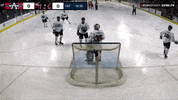 Awesome Way To Go GIF by Rapid City Rush