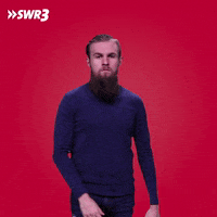 Stop Now No GIF by SWR3