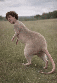 Hustlehouse Henhen GIF