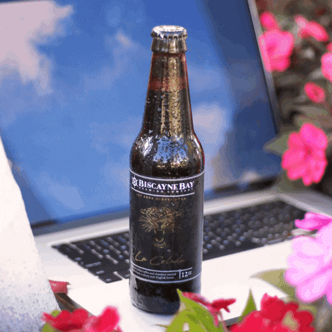 Happy Hour Beer GIF by Biscayne Bay Brewing
