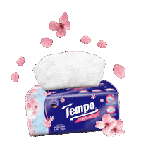 Tempo Sticker by VINDA Tissue
