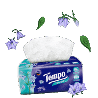 Tempo Sticker by VINDA Tissue