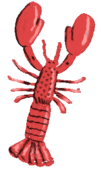 Drawing Lobster Sticker by iriskristen