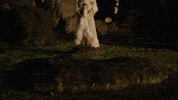 Funk Equilibrium GIF