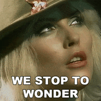 Shay GIF by Blondie