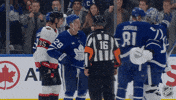 Happy Toronto Maple Leafs GIF by NHL