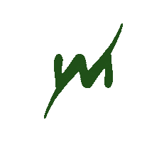Yerba Mate Power Sticker by Wildmate