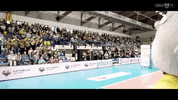 Radosc Kibice GIF by GKS Katowice