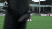 team spirit celebration GIF by England