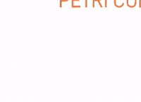 CeramicasAparici petri GIF