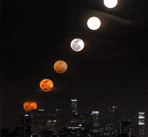 Art Night GIF