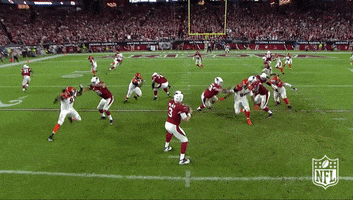 Arizona Cardinals Football GIF by NFL