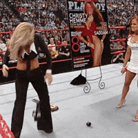 Christy Hemme Kick GIF by Trish Stratus
