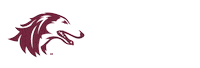 Football Touchdown Sticker by SIU Student Center