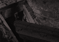 harold lloyd GIF by Maudit