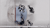 save stanley cup playoffs GIF by NHL
