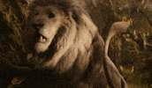 Scared Lion GIF by Wicked