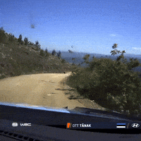 Portugal Hyundai GIF by FIA World Rally Championship