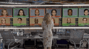 Bull Cbs GIF by CBS