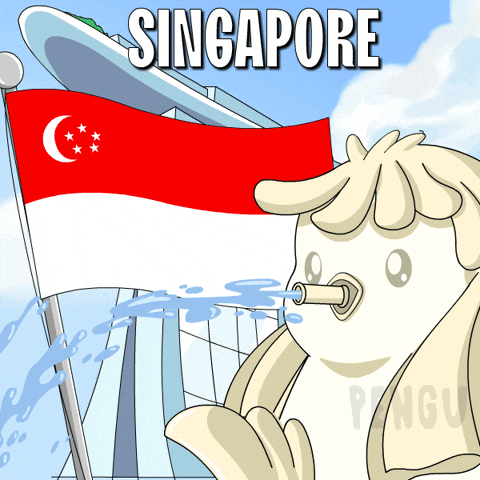 Singapore Flag Penguin GIF by Pudgy Penguins