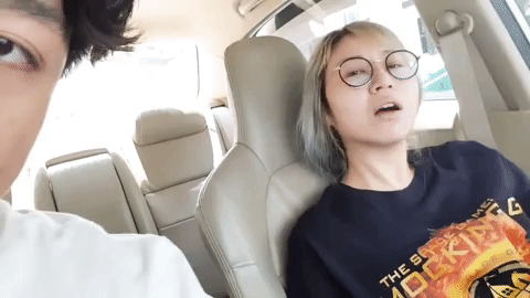 sunbeary GIF